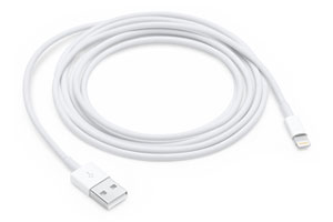 Apple Lightning to USB 2 м (белый) [MD819ZM/A] кабель купить в Минске.