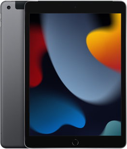 iPad 2021 space-gray lte