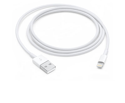 Купить кабель Apple Lightning to USB 1 м (белый) [MD818ZM/A]