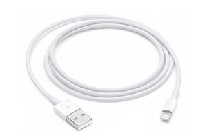 Apple Lightning to USB 1 м (белый) [MD818ZM/A] кабель купить в Минске.