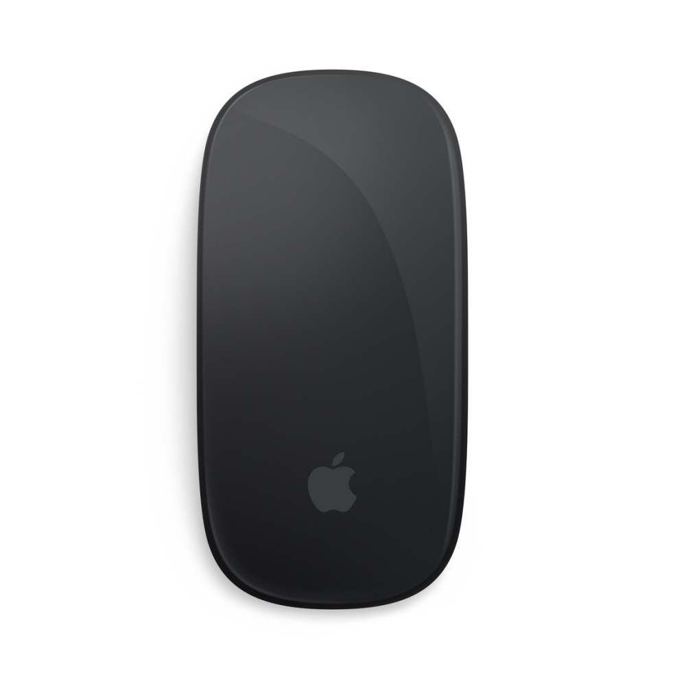 Magic Mouse для iPad