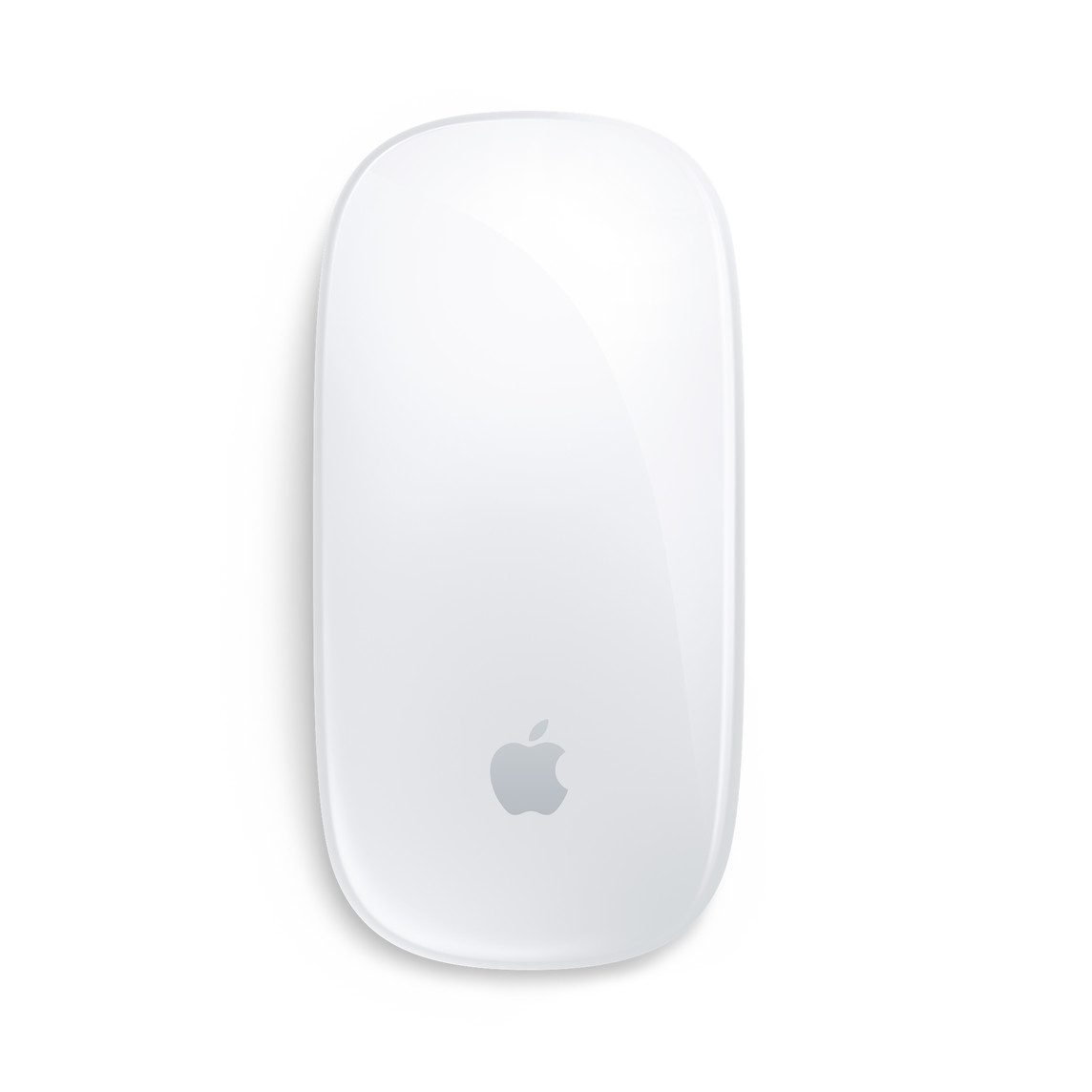 Magic Mouse для iPad