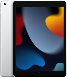 iPad 2021 silver lte